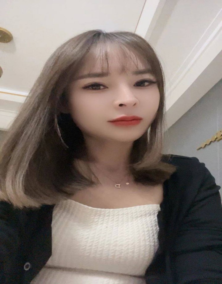欧美人动物ppt免费模板大全,免费在线观看高清